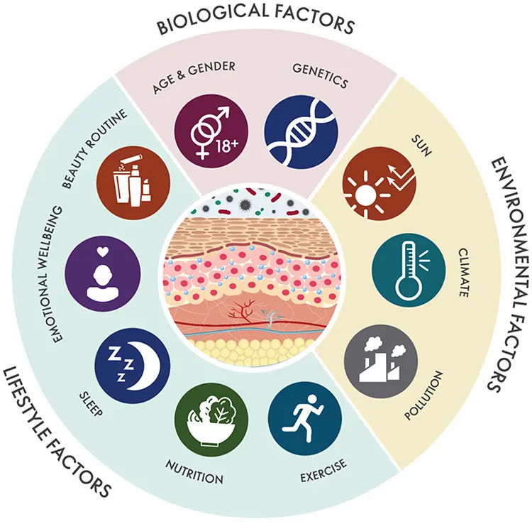 importance of a balanced skin microbiome