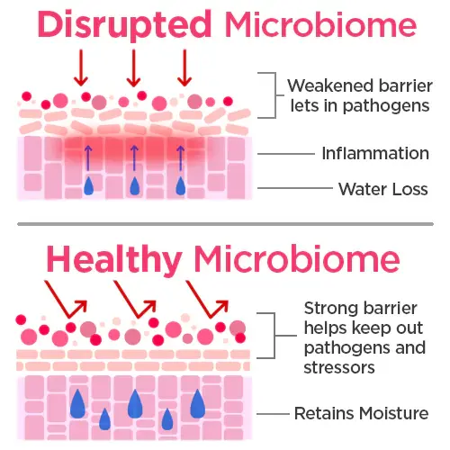 microbiome skin care what it is and why it matters