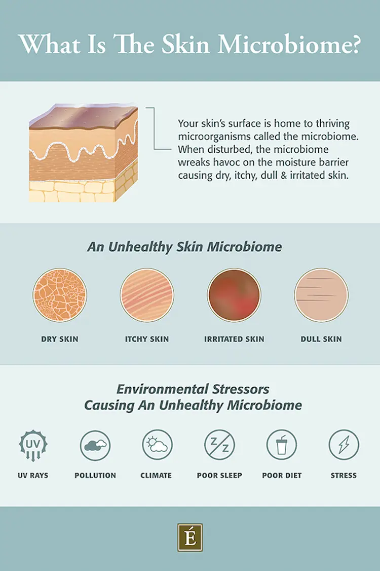 what is the skin microbiome